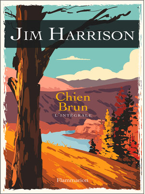 cover image of Chien Brun
